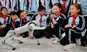 Science and Technology Carnival