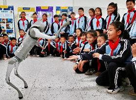 Science and Technology Carnival