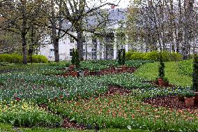Tulip Festival at Kirna Manor