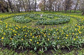 Tulip Festival at Kirna Manor