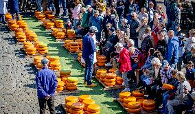 Gouda Cheese Market Illustrations - Netherlands