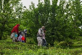 People Flee and Mourn After Border Strikes - Kashmir