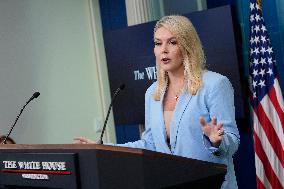 White House press briefing - Washington