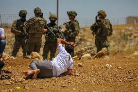 Friday Prayers Near Hebron - West Bank