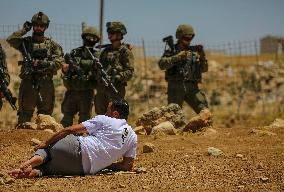 Friday Prayers Near Hebron - West Bank