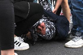 Protest Against The Stray Animal Regulation Bill - Ankara