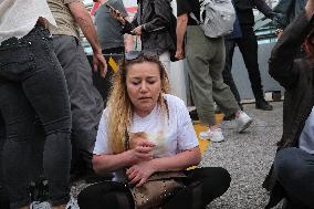 Protest Against The Stray Animal Regulation Bill - Ankara
