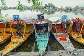 Srinagar Blasts Trigger Civilian Exodus - India