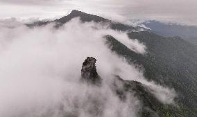 Mount Fanjing