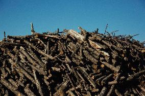 Charcoal Production in Bukan - Iran
