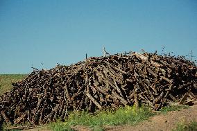 Charcoal Production in Bukan - Iran