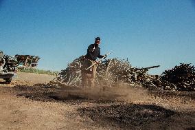 Charcoal Production in Bukan - Iran