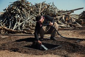 Charcoal Production in Bukan - Iran
