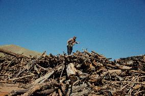 Charcoal Production in Bukan - Iran