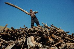 Charcoal Production in Bukan - Iran