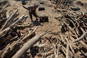 Charcoal Production in Bukan - Iran