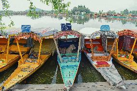 Srinagar Blasts Trigger Civilian Exodus - India