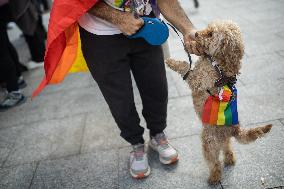 Demonstration for the Trans Law in Madrid