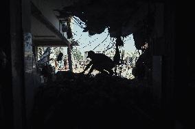 Daily Battle in Gaza