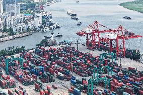 Shanghai Port Container