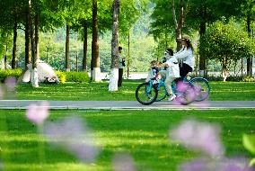 Early Summer Day - China