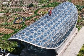 Subway Station Entrances And Exits Resembling Coffins in Hangzhou
