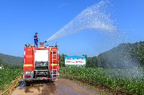 Drought Resistant Irrigation