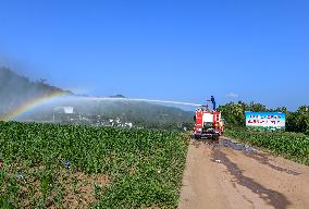 Drought Resistant Irrigation