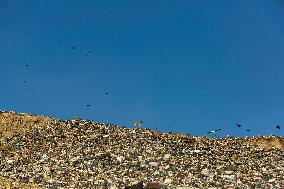 Waste And Recycling Management in Bukan -  Iran