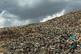 Waste And Recycling Management in Bukan -  Iran