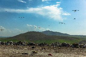 Waste And Recycling Management in Bukan -  Iran