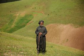 Iranian Nomads - Saqqez