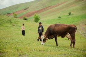 Iranian Nomads - Saqqez