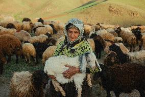 Iranian Nomads - Saqqez