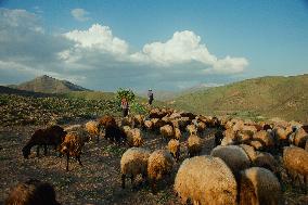 Iranian Nomads - Saqqez