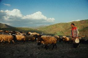 Iranian Nomads - Saqqez