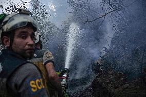 Fire in Bayirbucak - Syria