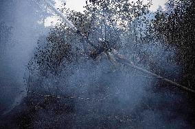 Fire in Bayirbucak - Syria