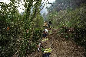 Fire in Bayirbucak - Syria