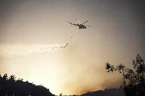 Fire in Bayirbucak - Syria