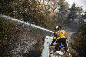 Fire in Bayirbucak - Syria
