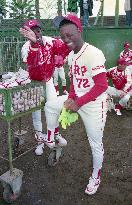 Baseball: Timoniel Perez, Alfonso Soriano of Carp