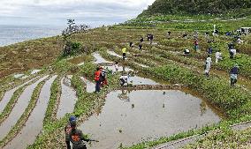 Rice-planting in Wajima