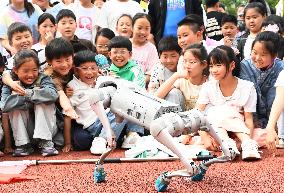 Chinese School Robot Education