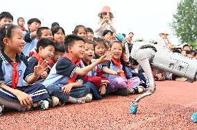 Chinese School Robot Education