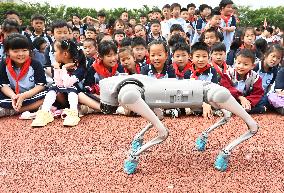 Chinese School Robot Education