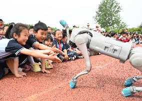 Chinese School Robot Education