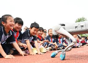 Chinese School Robot Education