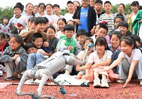 Chinese School Robot Education