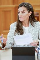 Queen Letizia Royal Audiences - Madrid